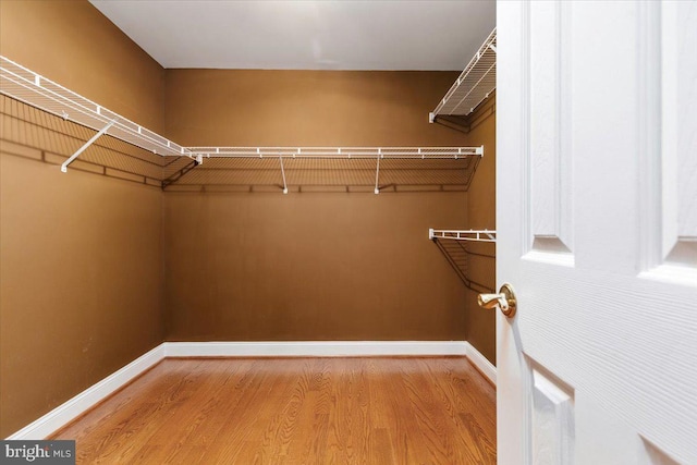 spacious closet featuring light hardwood / wood-style flooring