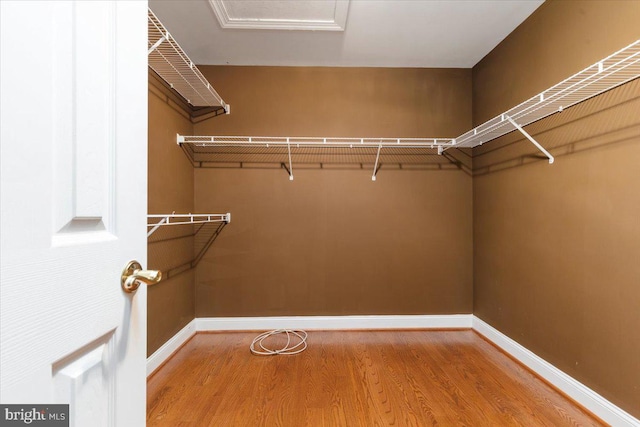 walk in closet with wood-type flooring