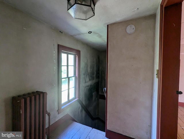 interior space featuring wood-type flooring and radiator