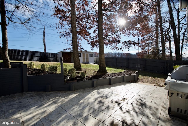 view of patio / terrace with a grill and an outbuilding