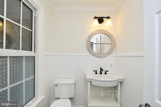 bathroom with sink, toilet, and ornamental molding