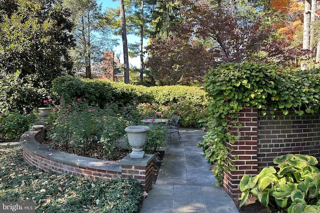 94 N Rd, Princeton, NJ 08540 - view of yard featuring a patio area