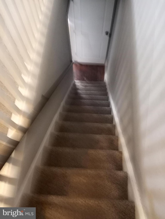 staircase featuring hardwood / wood-style floors