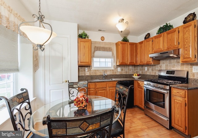 kitchen with light hardwood / wood-style floors, tasteful backsplash, sink, range hood, and gas range