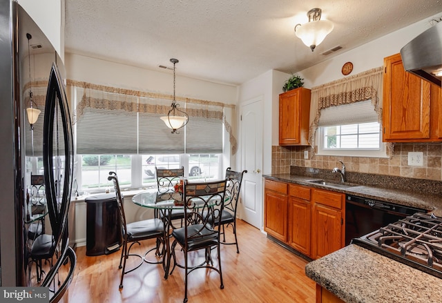 kitchen with pendant lighting, sink, light hardwood / wood-style floors, and a healthy amount of sunlight