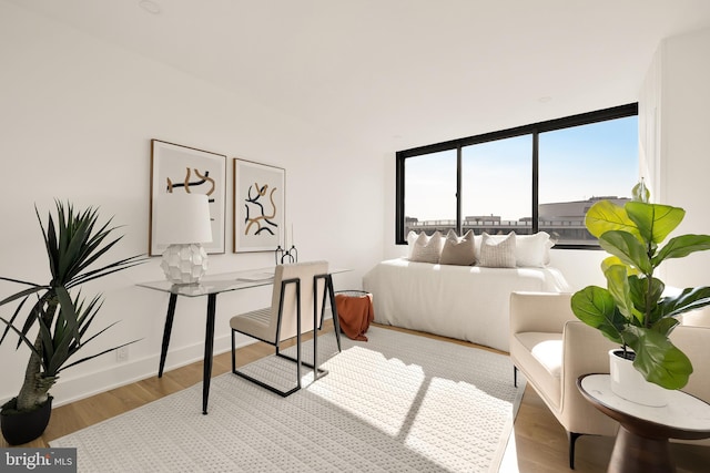 bedroom featuring light hardwood / wood-style floors