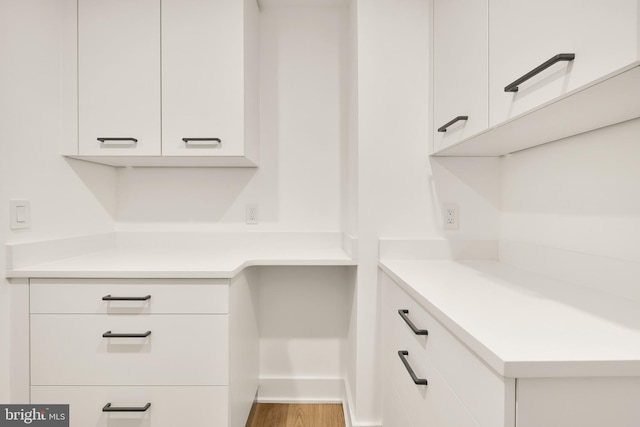 walk in closet featuring hardwood / wood-style flooring