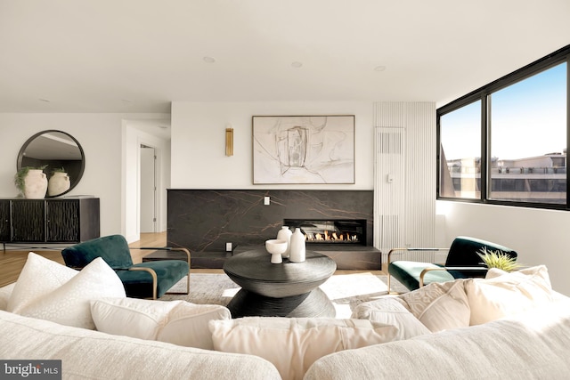 living room featuring a fireplace and wood-type flooring