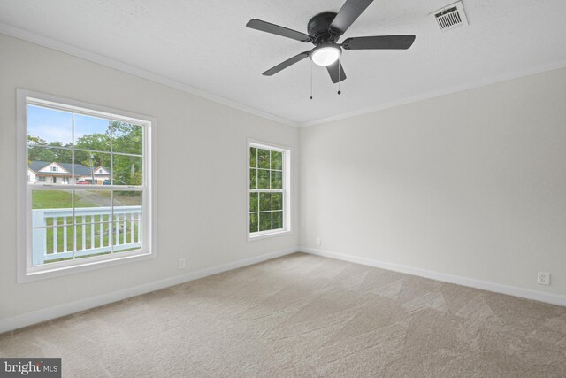 carpeted spare room featuring ceiling fan and ornamental molding