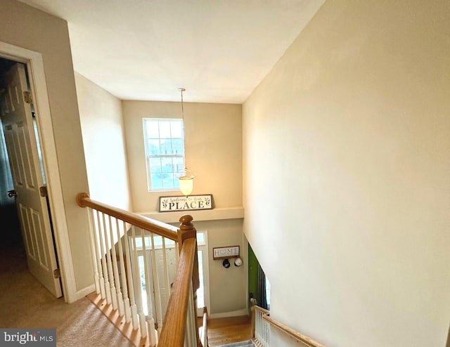 stairway with carpet and a notable chandelier