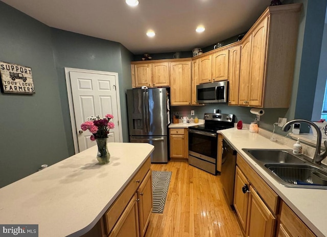 kitchen with sink, light hardwood / wood-style flooring, and stainless steel appliances