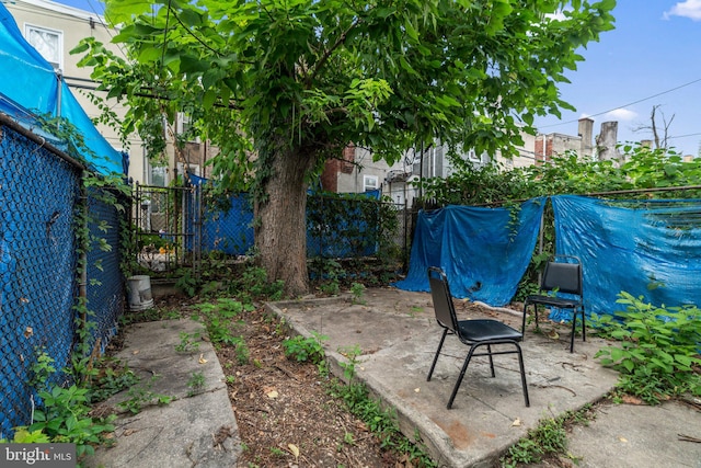 view of yard featuring a patio