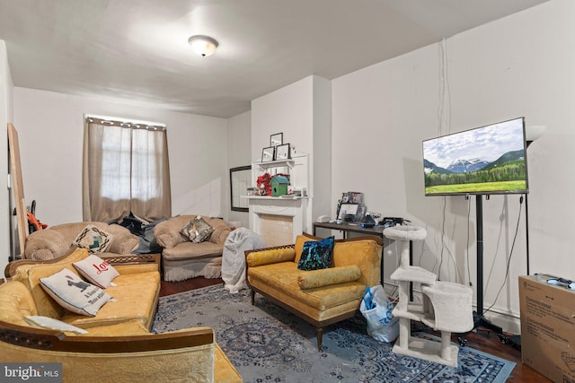 living room with hardwood / wood-style floors