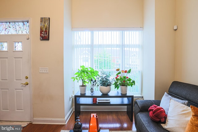 foyer with dark hardwood / wood-style flooring