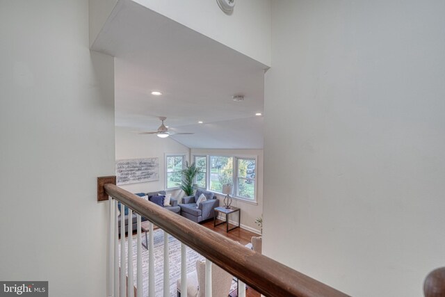 dining room featuring wood-type flooring, ceiling fan with notable chandelier, and vaulted ceiling