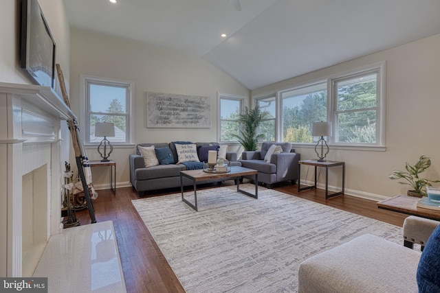 living room with lofted ceiling and dark hardwood / wood-style floors