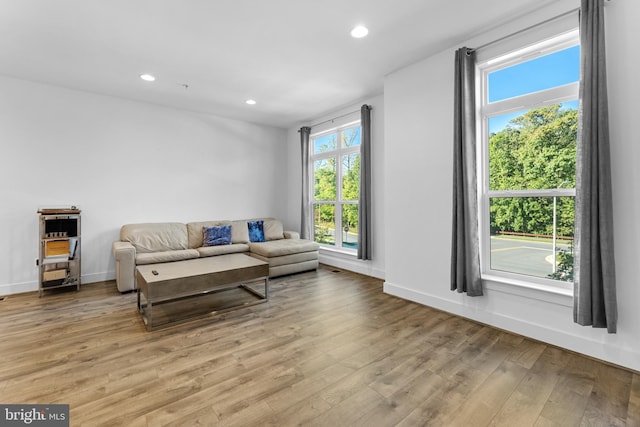 living room featuring light wood-type flooring