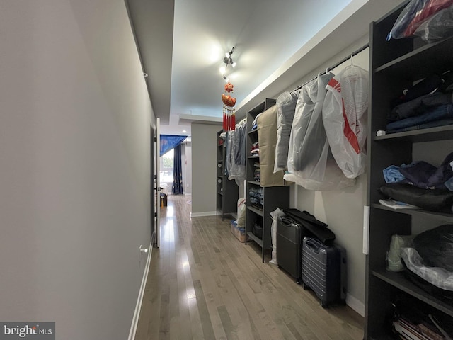 walk in closet featuring hardwood / wood-style flooring