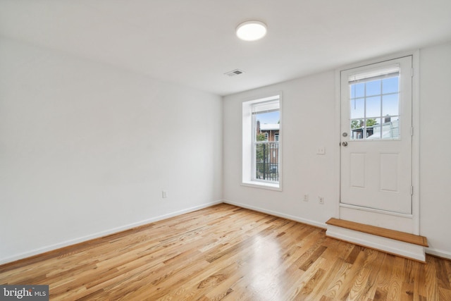 entryway featuring light hardwood / wood-style floors and a healthy amount of sunlight