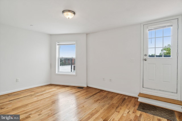 foyer with light hardwood / wood-style floors and plenty of natural light