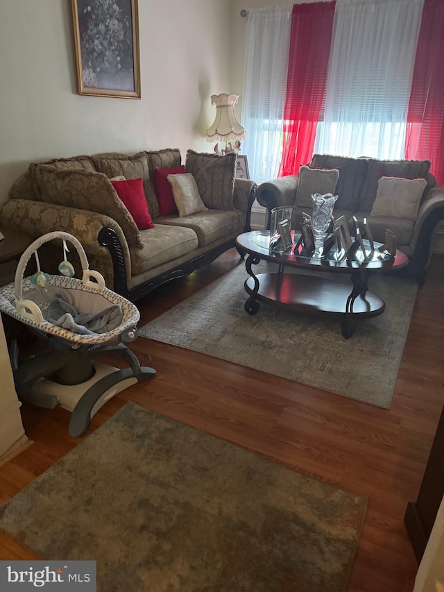 living room with dark hardwood / wood-style flooring