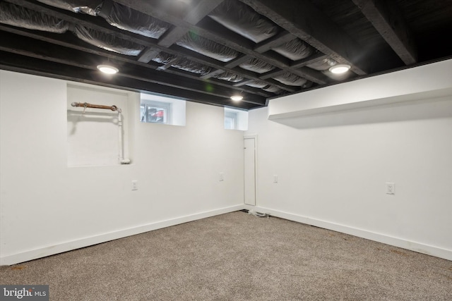 basement featuring carpet flooring