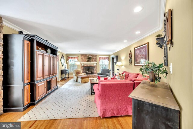 living room with a fireplace, light wood-type flooring, and crown molding