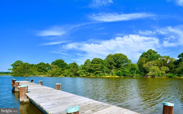 dock area with a water view