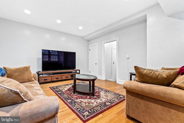 living room featuring hardwood / wood-style flooring