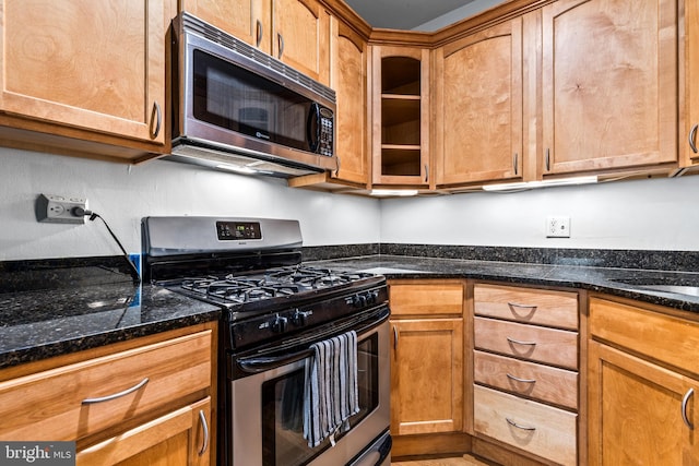 kitchen with dark stone counters and stainless steel appliances