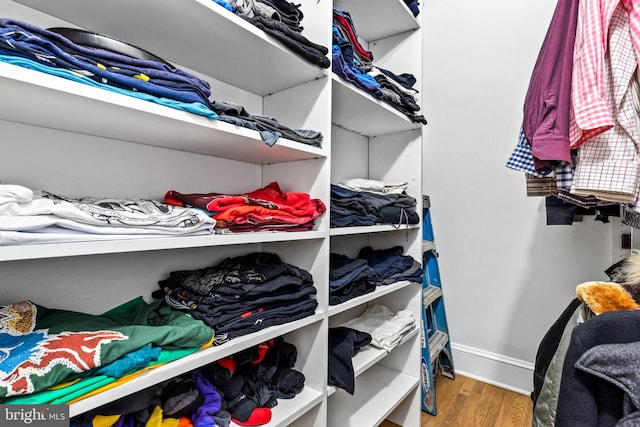 spacious closet featuring hardwood / wood-style floors