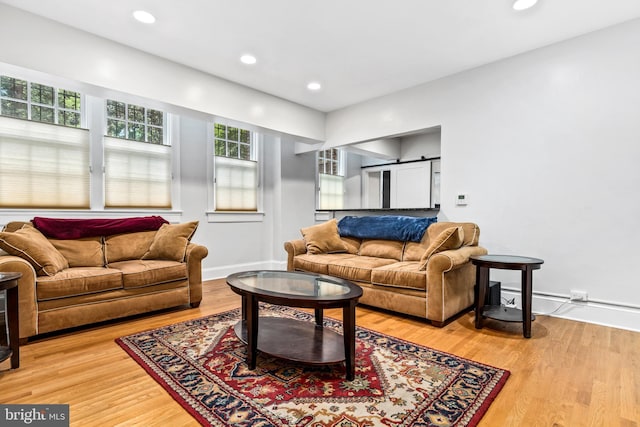 living room with a barn door and hardwood / wood-style flooring