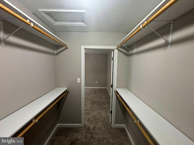 walk in closet with dark carpet