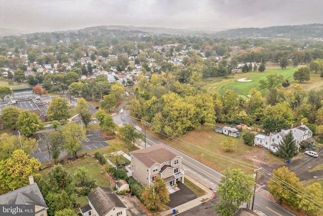 bird's eye view