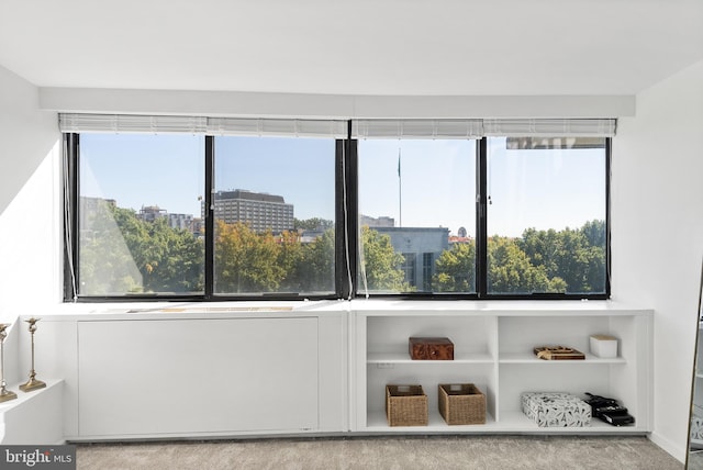 interior space featuring carpet floors