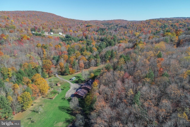 birds eye view of property featuring a mountain view and a view of trees