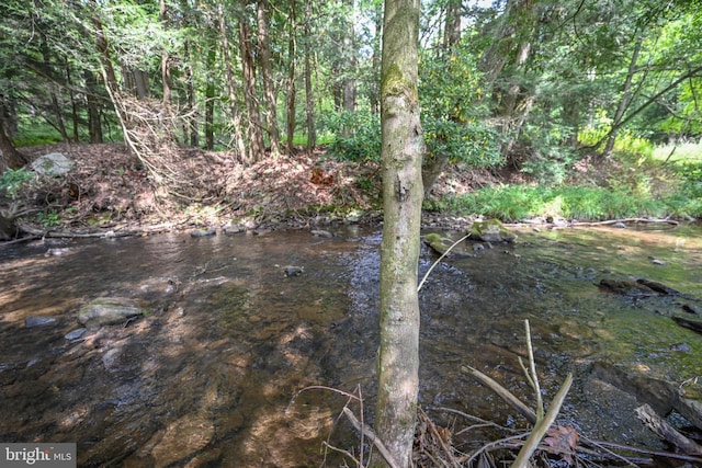 view of nature