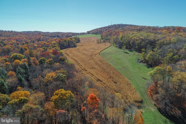 aerial view featuring a wooded view