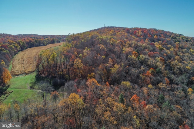 mountain view with a wooded view