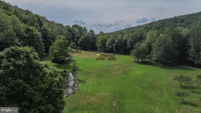 drone / aerial view featuring a rural view