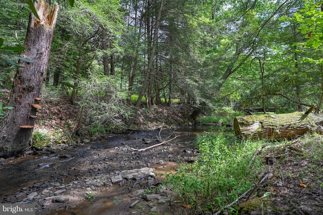 view of nature