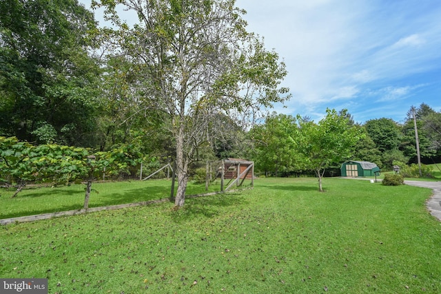 view of yard with an outdoor structure and a shed