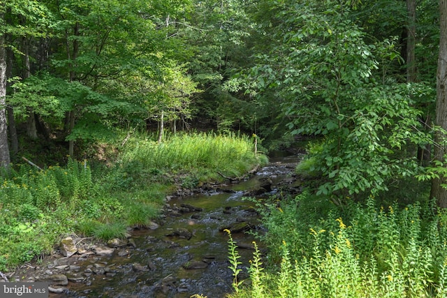 view of local wilderness