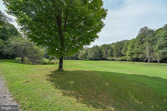 view of home's community featuring a yard