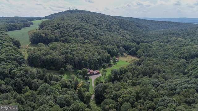 property view of mountains