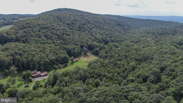 bird's eye view featuring a mountain view and a view of trees