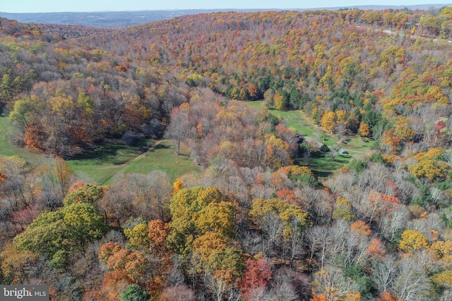 aerial view