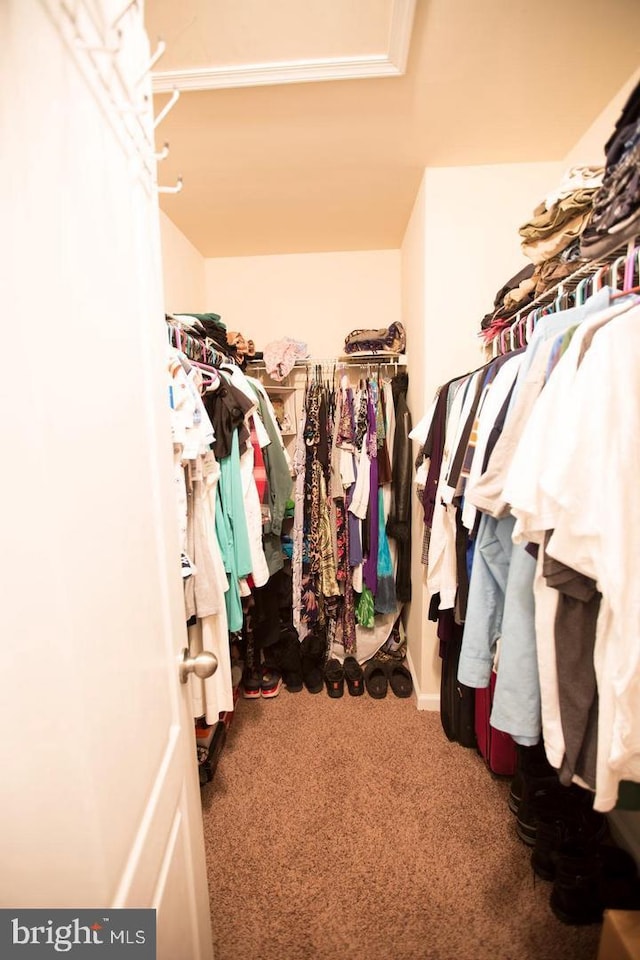 walk in closet with carpet