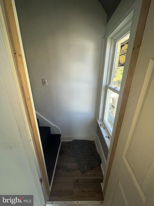 stairway with wood-type flooring and a wealth of natural light