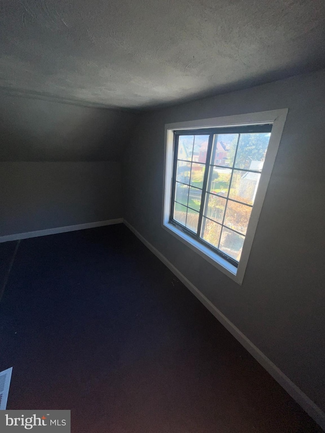 additional living space featuring vaulted ceiling, a textured ceiling, and carpet flooring